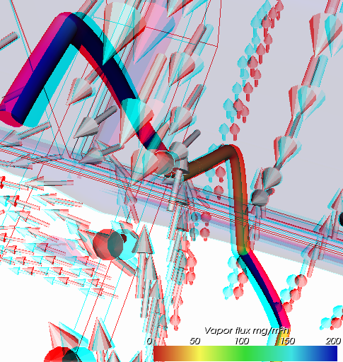Anaglyph (Stereo) Darstellung der Diffusionsstrme vom Wasserdampf in der Simulation einer Wrmebrcke (Sie bentigen Rot/Cyan Brille um die 3D Tiefeneffekte wahrnehmen zu knnen)